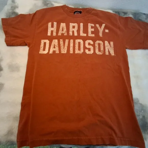 Harley Davidson Alamo City, San Antonio Texas T-Shirt by De-Lux - Picture 2 of 4